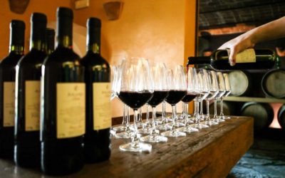 The “David” and Chianti Classico